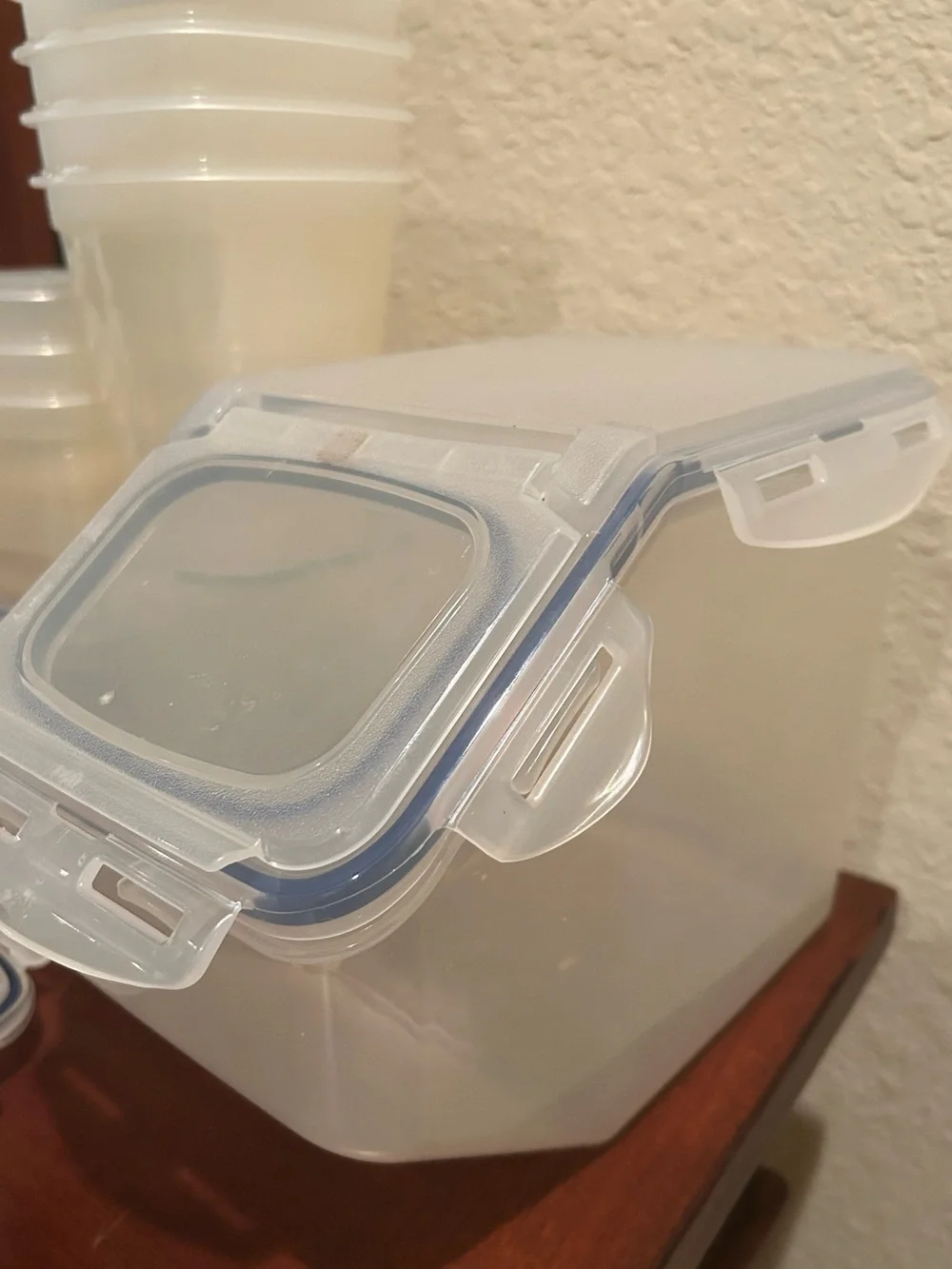Lot of 15 Lock & Lock Containers with lids